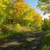 Fall Color Drive Near Lake Superior
