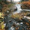 Fall Forest Stream in Northern Minnesota 