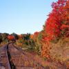 Fall  Railroad Scene