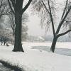 Winter Scene - Lake Harriet
