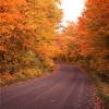 Fall Color Road in Northern Minnesota